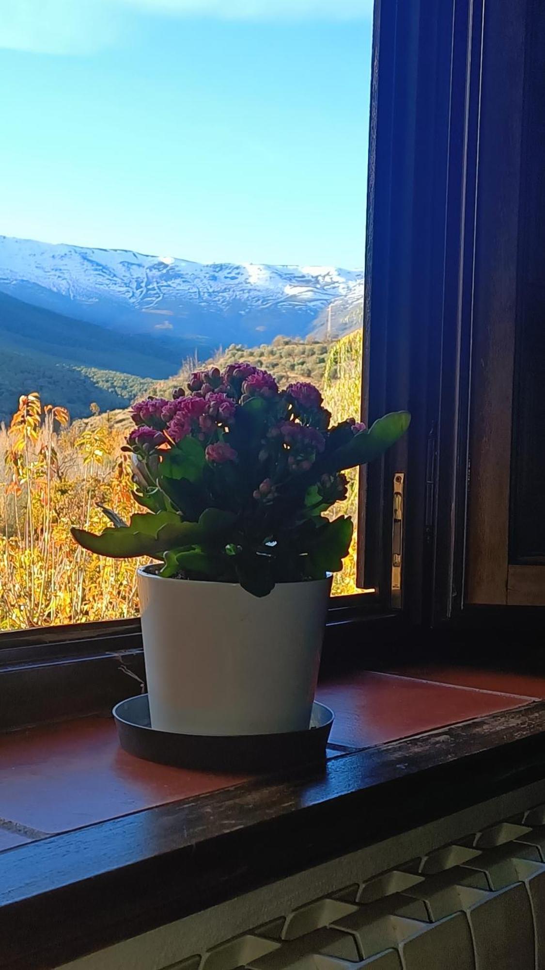 Villa Molino de Santa Águeda Jeres del Marquesado Esterno foto
